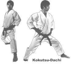 Fiche pédagogique d'Éric Delannoy - Kokutsu Dachi